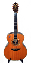 Takamine-SEN-28_web.jpg